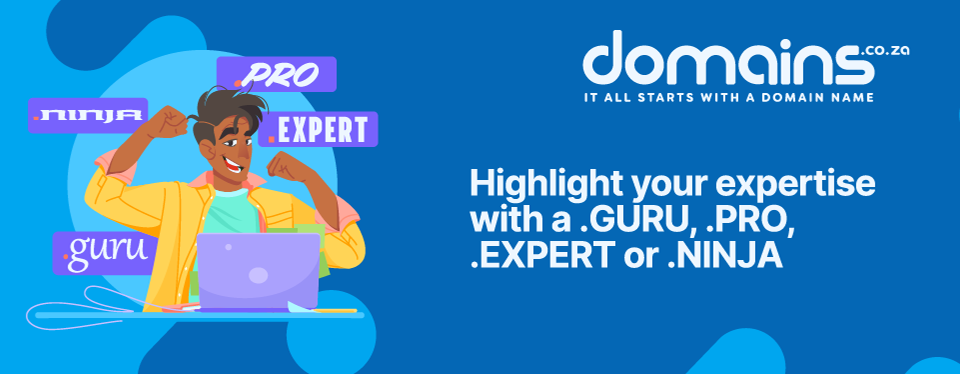 Main banner text: Highlight your expertise with a .GURU, .PRO, .EXPERT or .NINJA