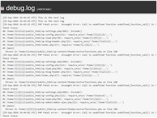 A WordPress 500 Internal Server Error - Check Debug Log File