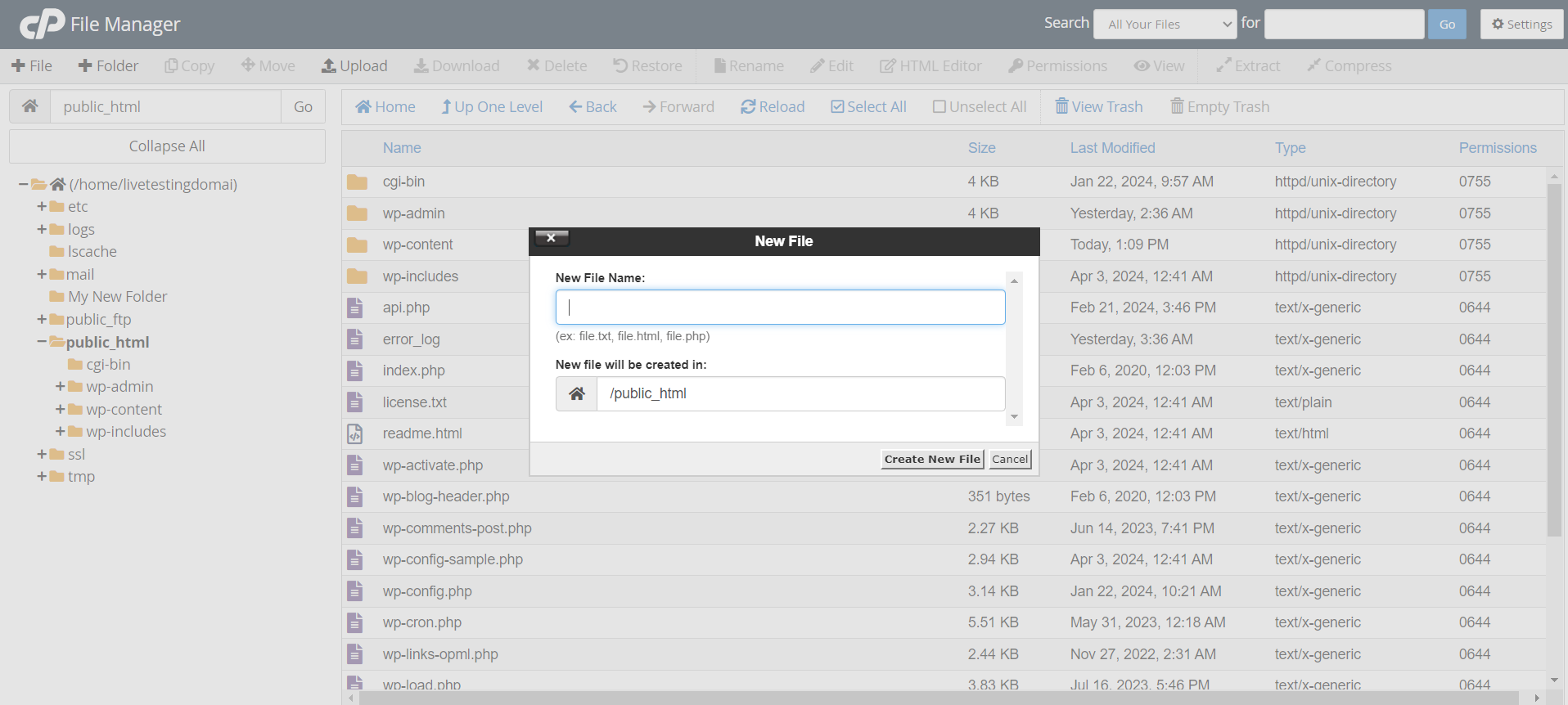 How To Use File Manager In cPanel